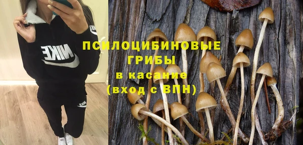 соль ск Осинники