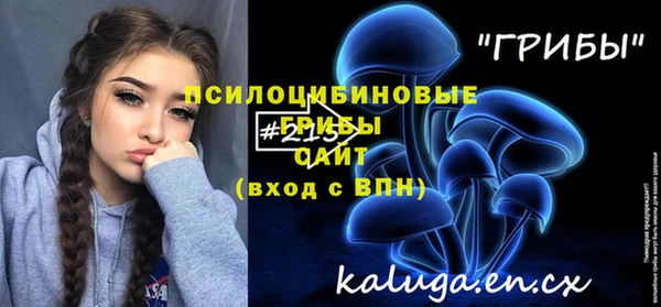 соль ск Осинники