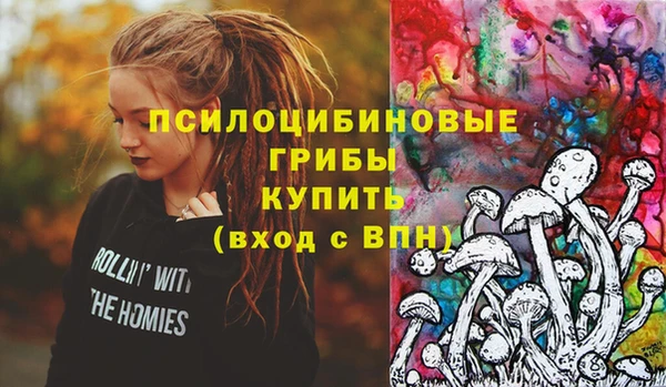 соль ск Осинники
