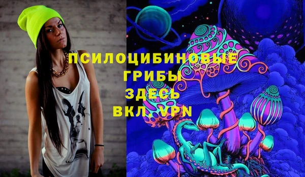 соль ск Осинники
