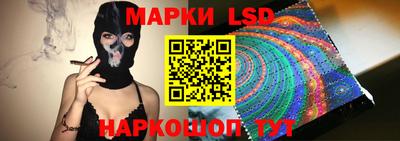 тгк Новодвинск