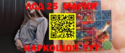 тгк Новодвинск