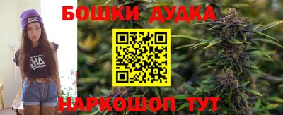 гашик Обь