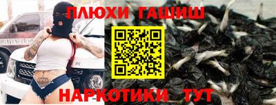 тгк Новодвинск