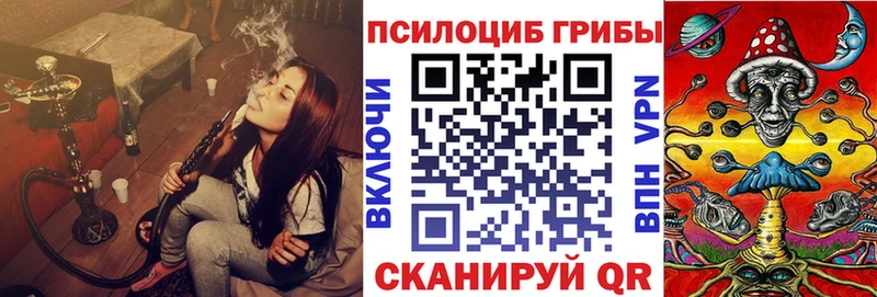 хочу наркоту  Северобайкальск  Псилоцибиновые грибы мицелий 