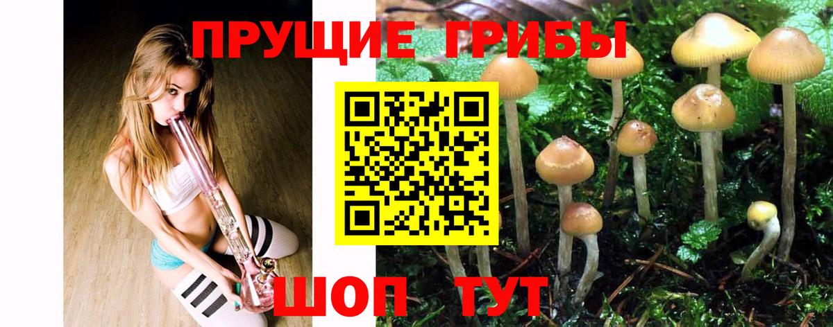 Северобайкальск  Псилоцибиновые грибы прущие грибы  Галлюциногенные грибы мухоморы  Вход с VPN 